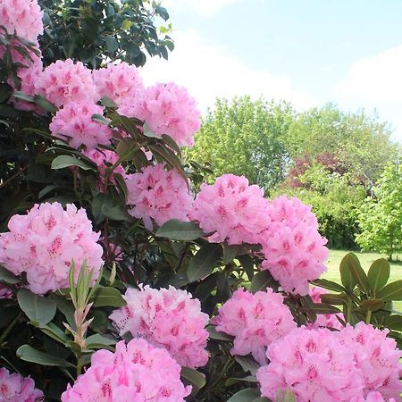 Le Clos Des Roses Saint-Regle Luaran gambar