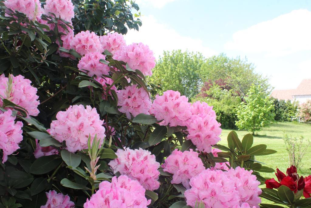 Le Clos Des Roses Saint-Regle Luaran gambar